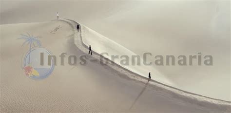 yves saint laurent gran canaria|Louis Vuitton chooses the Dunes of Maspalomas for a campaign.